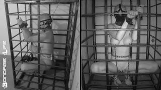 free online video 12 Bondage Life – More Storage Time For Greyhound on femdom porn nimin fetish fantasy-2