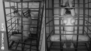 free online video 12 Bondage Life – More Storage Time For Greyhound on femdom porn nimin fetish fantasy-3
