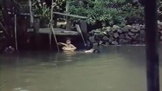 7150 Le Journal erotique d'une Thailandaise - Le Journal erot...-2