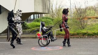 Pony tales 00381 (Femdom porn)-8