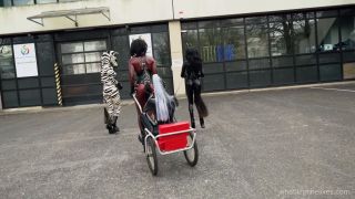 Pony tales 00381 (Femdom porn)-9