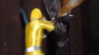 [SuperMisses.com] ZEPE-92 Suisei Sentai Mystic Three Part 1-009-9