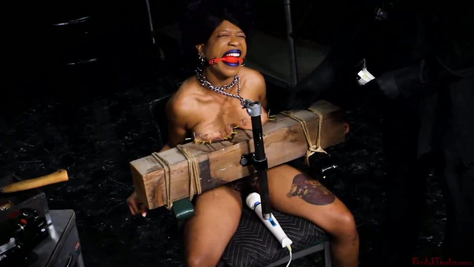 BM Cupcake SinClair - Bleeding In The New Year (01.03.19....