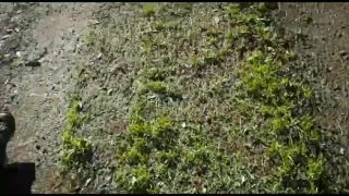 Tantot frenchie x porn42836313 video 2022-01-09 21-00-2