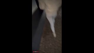 Fuck  beutifeul girl in the street-3