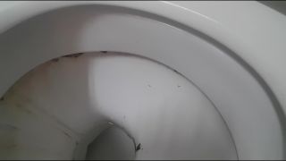 Goddess Natalie - Toilet sniffer humiliated JOI!-2