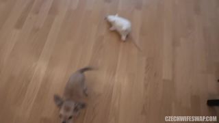 adult clip 31 fuck hardcore porn pussy hardcore porn | Czech Wife Swap 6 - Part 1 | hardcore-6