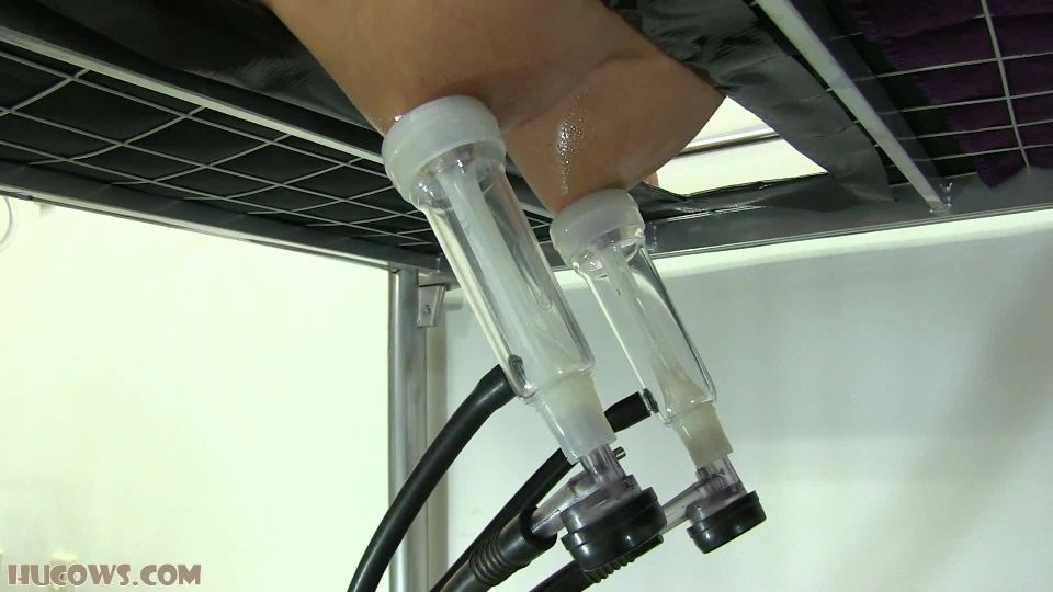 Bori On The Milking Bed Download New Porn Video Fast Mode...