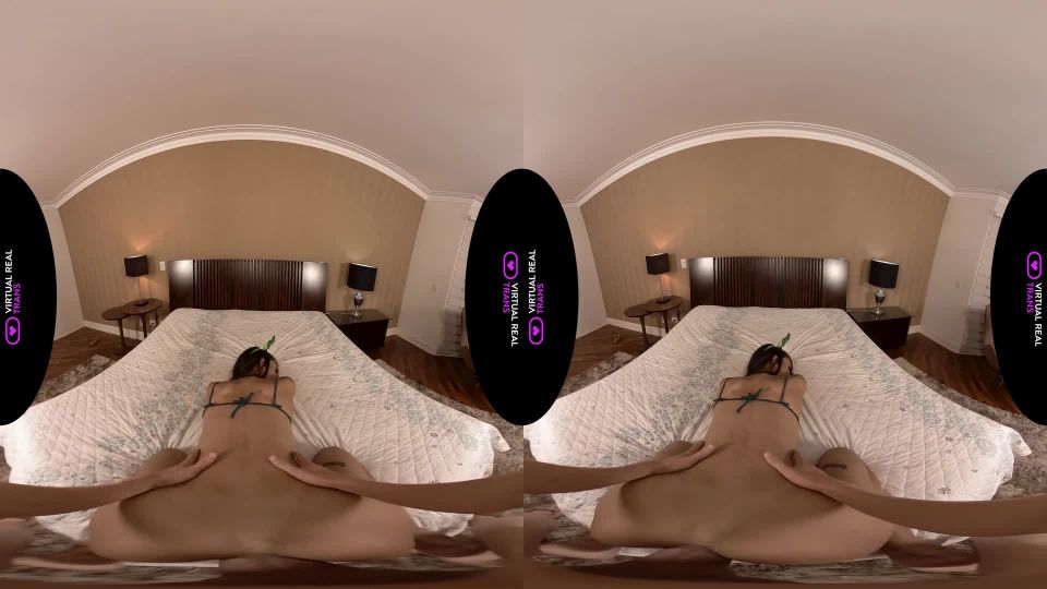 adult video clip 23 Gabrielly Ferraz St.Patrick’s Hangover - shemales - shemale porn 