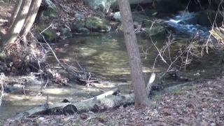 free porn video 15 Carlin - The Paralysis Brook - mind fuck - femdom porn muscle fetish-9