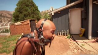 BM Cupcake Sinclair - Pony Bitch (02.05.21) Download New ...-7