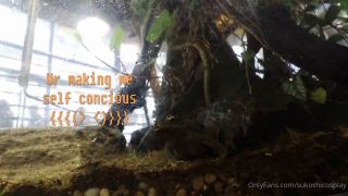 Sukoshicosplay Vlog Sex Tape Video - Teen-5