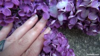 Delia DeLions Delia TS Pollinating The Lilac Jun Download...-9