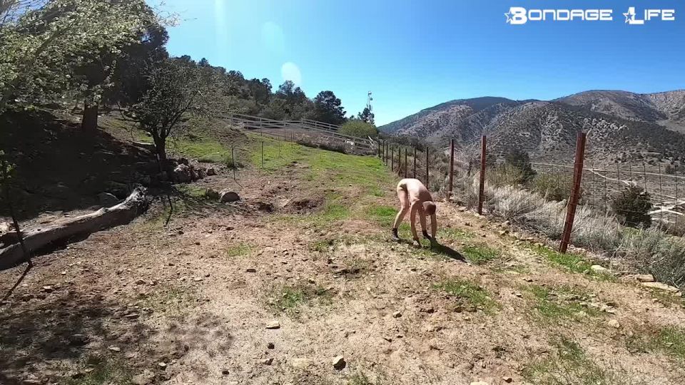 free porn video 29 huge tits bdsm bdsm porn | Bondage Life – Yard Maintenance | bondage life