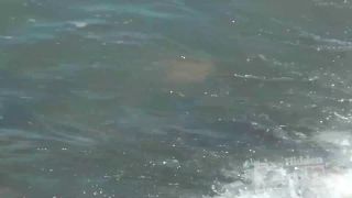 Watch Free Porno Online – Voyeur nudism – Around the 2538 girls ,  on voyeur -2