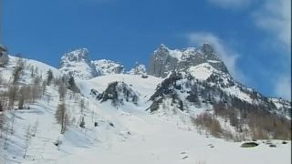 Sharon Bright, Bob Terminator from " Best by Pr1vate Holiday In and O ...-0