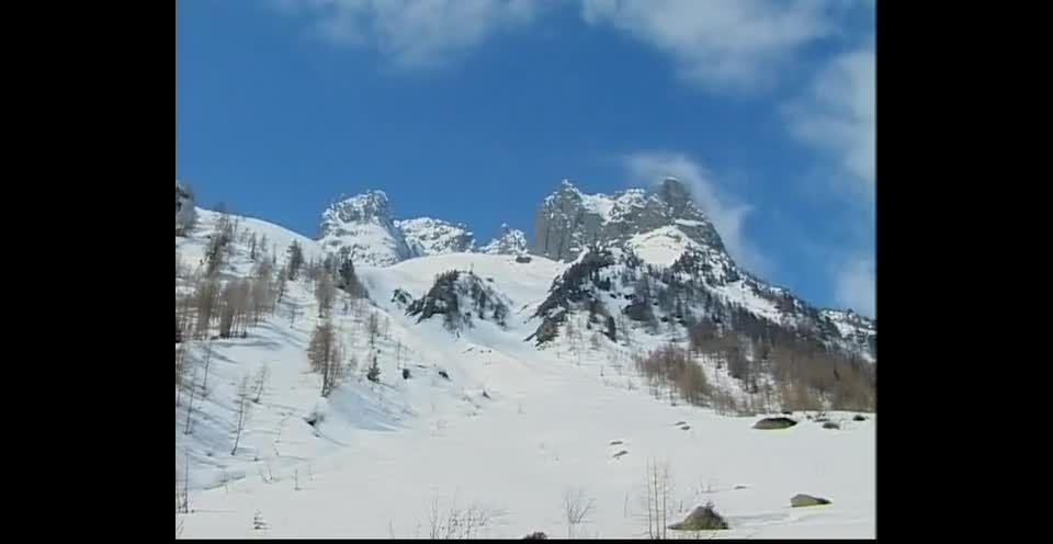 Sharon Bright, Bob Terminator from " Best by Pr1vate Holiday In and O ...