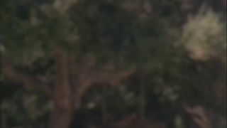 free xxx video 14 online adult clip 13 House On Chasey Lane | group sex | milf porn brother sister anal | facials | group sex porn swinger anal-7