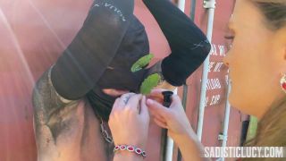 Fetish porn  SadisticLucy – Extreme cock and ball thrashing  Sadistic Lucy -7