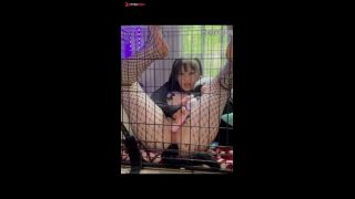 Pretty kitty plays in her cage-1