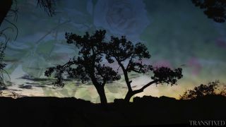 adult clip 23 Transfixed, AdultTime - Ariel Demure, Casey Calvert, Jade Venus, Lauren Phillips, Sophia Locke  on femdom porn gay muscle hardcore-7