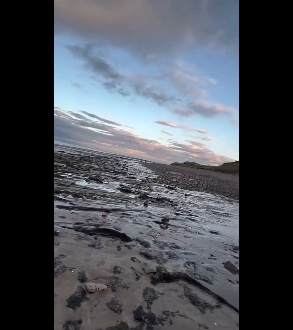 Public UK Beach Blows by Anuskatzz SD 608P Amateur 2025