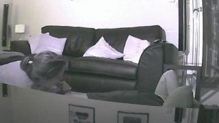207cam-60_2015-04-27-141307-9