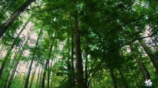 Redhead Deepthorats Boyfriends Cock While Walking In The Forrest!!!-1