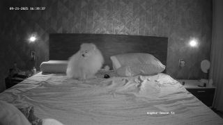Voyeur House: Mira Henry's 2025 Hot Bedroom Show Cam3 HD-9