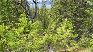 Implantboy Swe,Sessa Skye - We came to see the waterfall but stayed for this - RosySky 4k 60fps-1