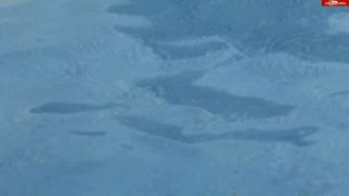 [K2S.CLUB] salmadenora - Abmelkstation Salma - HD 720P-3