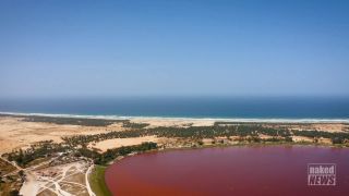 Naked News - January 13 2020-5