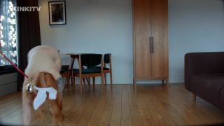 Alexa leash Walk Sex Clip Video Porn Download Mp4-5