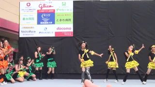 Voyeur Performance 20 - 15321736 | voyeur | voyeur -5