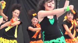 Voyeur Performance 20 - 15321736 | voyeur | voyeur -7