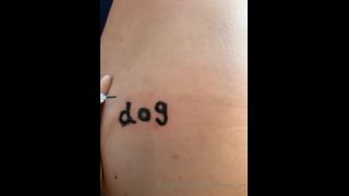 adult xxx video 6 princess beverly femdom Today’s Training Movie – Dog – MISTRESS UN, mistress un on femdom porn-2