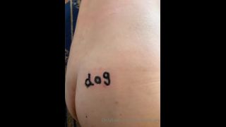 adult xxx video 6 princess beverly femdom Today’s Training Movie – Dog – MISTRESS UN, mistress un on femdom porn-4