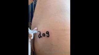 adult xxx video 6 princess beverly femdom Today’s Training Movie – Dog – MISTRESS UN, mistress un on femdom porn-6