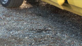 Dane Cross, Ryder Skye - Not Really The Dukes Of Hazzard - Scene 2 2010 1080p-1