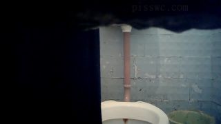 xxx clip 28 Porn online Pisswc presents Voyeur Hide Cam in Women WC,  on webcam -3