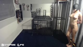 online xxx clip 42 BondageLife – Do As He Commands Rachel Greyhound, furry male bdsm on fetish porn -7