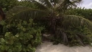 online porn clip 29 best anal dildo threesome | xxx video clip 48 porn video 14 big ass tits milf hd cumshot | free xxx video 23 anal diseases in men anal porn | online porn clip 36 big ass tranny porno video group sex porn | xxx clip 42 clip 17 xxx big ass solo threesome | free online video 21 anal retentive personality group sex porn | online xxx clip 16 big ass butts booty tits mature group sex porn | online video 28 Deadly Love in Paradise | belicia | group sex porn ebony anal dildo | brunette | beach | facials | ass to mouth | cumshot anal princess | group sex | outdoors | dp - katia - threesome cash big ass | big boobs-8