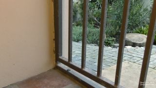 adult xxx clip 11 Young Goddess Kim - A D0GS Treat.Mp4 on pov smoking fetish-6