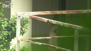  voyeur |  Aqua Nozokinakamuraya 956 (WMV, FullHD, 1920×1080) | voyeur-6