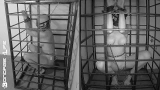 online video 8 Bondage Life: More Storage Time For Greyhound (Release date: Aug. 24, 2021) Bondage on fetish porn ballbusting fetish-1
