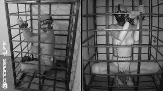 online video 8 Bondage Life: More Storage Time For Greyhound (Release date: Aug. 24, 2021) Bondage on fetish porn ballbusting fetish-2