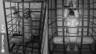 online video 8 Bondage Life: More Storage Time For Greyhound (Release date: Aug. 24, 2021) Bondage on fetish porn ballbusting fetish-3