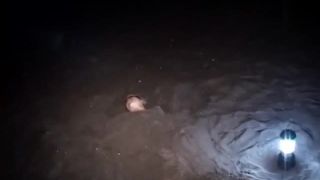 TK-001 Dragon Image Video Sex Download Porn-7