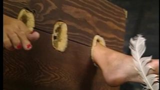 Prisoners Of Payne Video Sex Download Porn-2