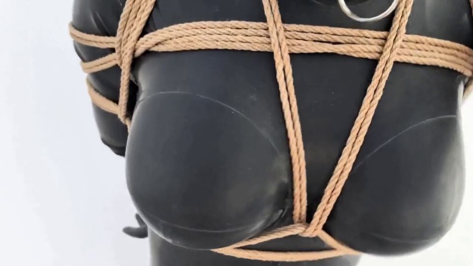 窒物者 真·全程高能 (Japanese porn)